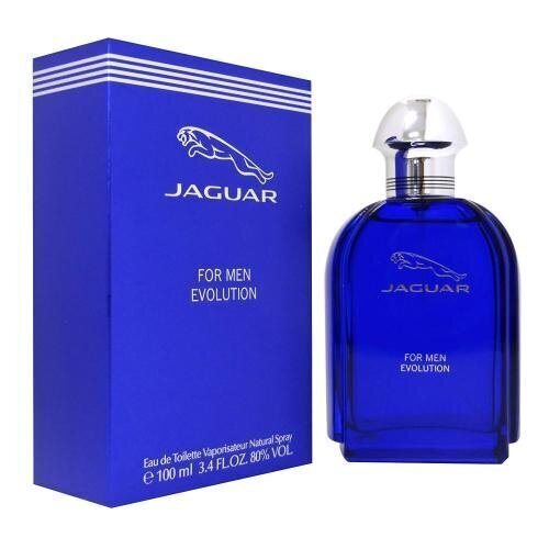 Jaguar for Men Evolution EDT meestele 100 ml цена и информация | Parfüümid meestele | hansapost.ee