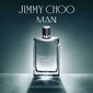 Meeste parfüüm Jimmy Choo Man EDT (30 ml) hind ja info | Parfüümid meestele | hansapost.ee
