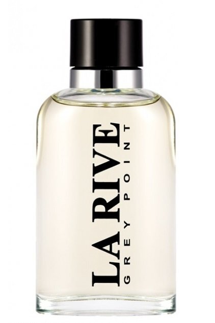 La Rive Grey Point For Man EDT meestele 90 ml цена и информация | Parfüümid meestele | hansapost.ee