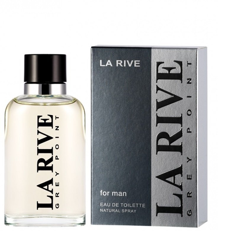 La Rive Grey Point For Man EDT meestele 90 ml цена и информация | Parfüümid meestele | hansapost.ee