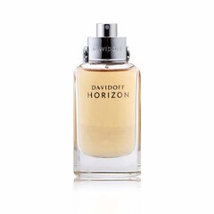 Мужская парфюмерия Horizon Davidoff EDT: Емкость - 40 ml цена и информация | Мужские духи | hansapost.ee