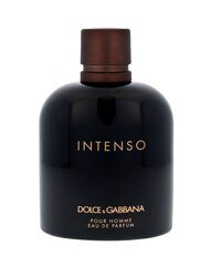 Dolce & Gabbana Intenso Pour Homme EDP для мужчин 200 ml цена и информация | Мужские духи | hansapost.ee