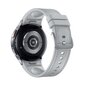 Samsung Galaxy Watch6 Classic 43mm BT Silver SM-R950NZSAEUE цена и информация | Nutikellad, laste nutikellad | hansapost.ee