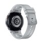 Samsung Galaxy Watch6 Classic 43mm LTE Silver SM-R955FZSAEUE hind ja info | Nutikellad, laste nutikellad | hansapost.ee