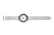 Samsung Galaxy Watch6 Classic 47mm BT Silver SM-R960NZSAEUE цена и информация | Nutikellad, laste nutikellad | hansapost.ee