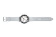 Samsung Galaxy Watch6 Classic SM-R965F Silver hind ja info | Nutikellad, laste nutikellad | hansapost.ee