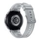 Samsung Galaxy Watch6 Classic SM-R965F Silver hind ja info | Nutikellad, laste nutikellad | hansapost.ee