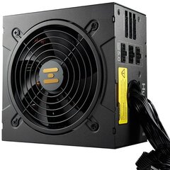 Fortron Hydro GT Pro 850W цена и информация | Материнские платы (PSU) | hansapost.ee