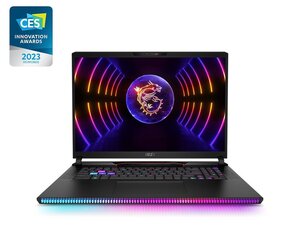 MSI Raider GE78HX 13VH-251PL цена и информация | Ноутбуки | hansapost.ee