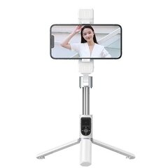 Selfipulk Remax P13 Dual-Light selfie stick – seisev hind ja info | Lisatarvikud mobiiltelefonidele | hansapost.ee