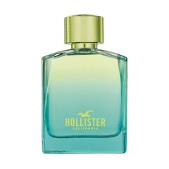 Hollister Wave 2 EDT meestele 100 ml hind ja info | Parfüümid meestele | hansapost.ee