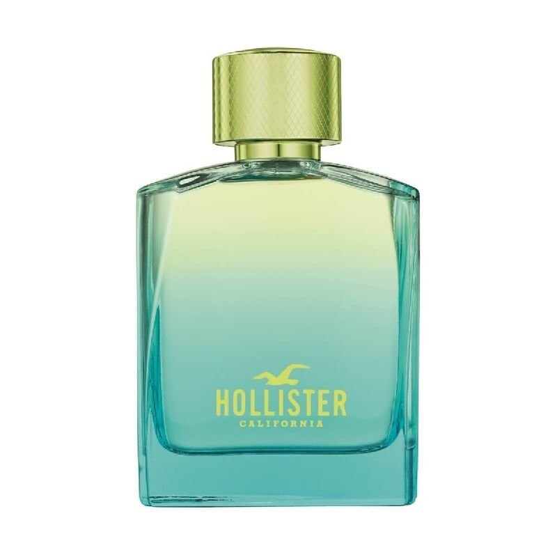 Hollister Wave 2 EDT meestele 100 ml цена и информация | Parfüümid meestele | hansapost.ee