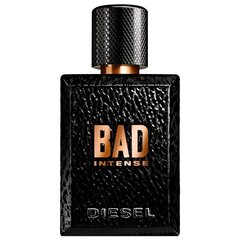 Parfüümvesi Diesel Bad Intense EDP meestele 125 ml hind ja info | Parfüümid meestele | hansapost.ee
