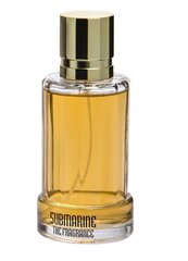 Tualettvesi Real Time Submarine The Fragrance EDT meestele 100 ml hind ja info | Parfüümid meestele | hansapost.ee