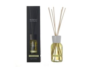 Lõhnapulgad Millefiori Natural Fragrance Lemon Grass 250 ml hind ja info | Millefiori Parfüümid, lõhnad ja kosmeetika | hansapost.ee