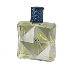 Tualettvesi Real Time No Ordinary EDT meestele, 100 ml hind ja info | Parfüümid meestele | hansapost.ee