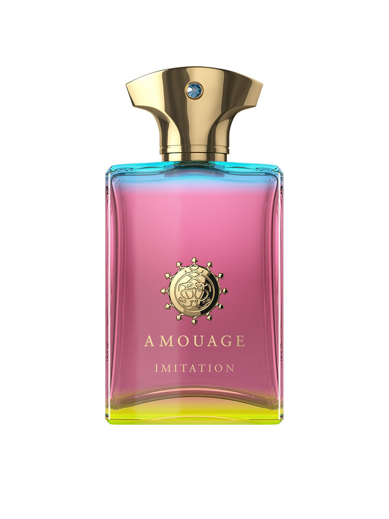 Amouage Imitation For Men EDP meestele 100 ml hind ja info | Parfüümid meestele | hansapost.ee