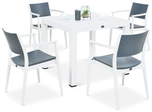 Комплект садовой мебели Novussi Seginus 4+1, белый/серый цвет цена и информация | Комплекты уличной мебели | hansapost.ee