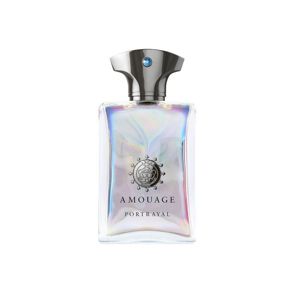 Parfüümvesi Amouage Portrayal EDP meestele 100 ml hind ja info | Parfüümid meestele | hansapost.ee