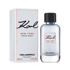 Мужская парфюмерия New York Lagerfeld EDT (100 ml) (100 ml) цена и информация | Мужские духи | hansapost.ee