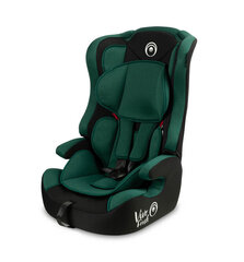 Caretero turvatool Vivo Fresh, 9-36 kg, dark green hind ja info | Caretero Turvatoolid ja lisavarustus | hansapost.ee