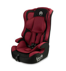 Caretero turvatool Vivo Fresh, 9-36 kg, burgundy hind ja info | Turvatoolid ja turvahällid | hansapost.ee