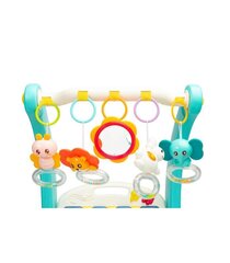 Ходунки Toyz 2 in 1, blue цена и информация | Ходунки | hansapost.ee