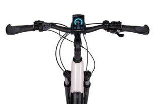 Электрический велосипед Ecobike LX 300, 28", белый цвет цена и информация | Электровелосипеды | hansapost.ee