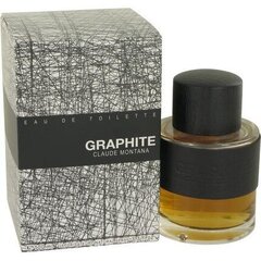 Meeste parfüüm Graphite Montana EDT (100 ml) hind ja info | Parfüümid meestele | hansapost.ee