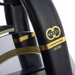 Велотренажер Tunturi Centuri S100 Sprinter цена и информация | Велотренажёры | hansapost.ee