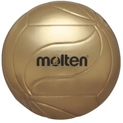 Volleyball ball souvenir MOLTEN V5M9500 synth. leather size 5 цена и информация | Волейбольные мячи | hansapost.ee