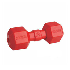 Плавающая резиновая игрушка Mr. Strong, красная, 9х19,5 см. цена и информация | Игрушки для собак | hansapost.ee