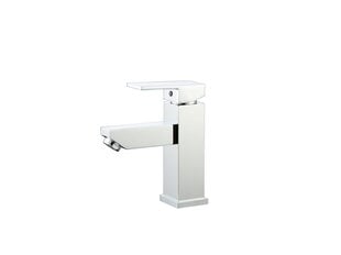 Valamusegisti Besco Modern II Chrome hind ja info | Vannitoa segistid | hansapost.ee