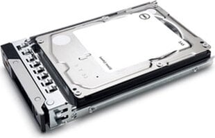 Dell 400-ATIN цена и информация | Внутренние жёсткие диски (HDD, SSD, Hybrid) | hansapost.ee