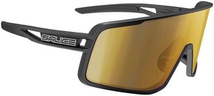 Спортивные очки Salice 022 Black RW Gold, черные цена и информация | Спортивные очки | hansapost.ee