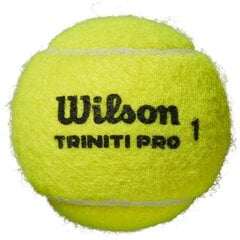 Открытые теннисные мячики Wilson Triniti Pro, 4 шт цена и информация | Товары для большого тенниса | hansapost.ee