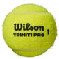 Välitennise pallid Wilson Triniti Pro, 4 tk цена и информация | Välitennise tooted | hansapost.ee