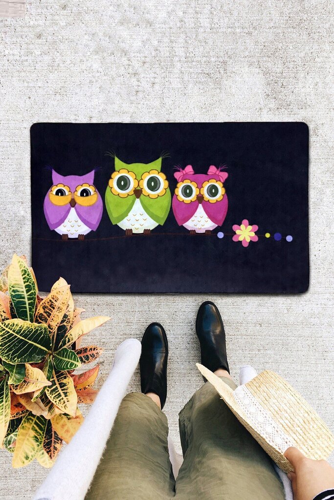 Uksematt Three Owls 40x60 cm цена и информация | Uksematid | hansapost.ee