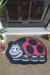 Uksematt Ladybird 40x60 cm цена и информация | Придверные коврики | hansapost.ee