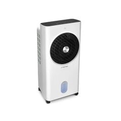 Мобильный воздухоохладитель Trotec PAE 31 цена и информация | Кондиционеры, рекуператоры | hansapost.ee