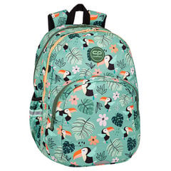 Школьный рюкзак Coolpack Toucans, зеленый цена и информация | Школьные рюкзаки, спортивные сумки | hansapost.ee
