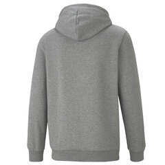 Мужской джемпер Puma Essential Small Logo Hoodie M 586690-03, серый цена и информация | Мужская спортивная одежда | hansapost.ee