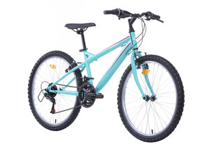 Jalgratas Bottari Torino 24'', sinine price and information | Bicycles | hansapost.ee