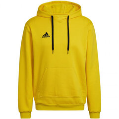 Adidas Джемпер Ent22 Hoody Yellow HI2140 цена и информация | Мужская спортивная одежда | hansapost.ee