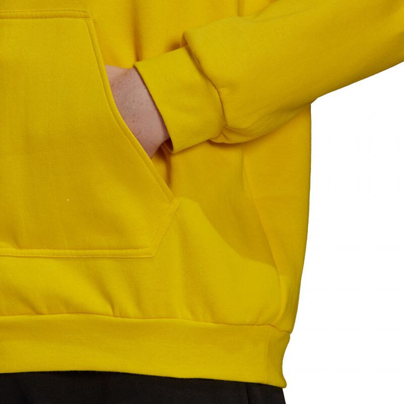 Adidas Džemprid Ent22 Hoody Yellow HI2140 цена и информация | Spordiriided meestele | hansapost.ee