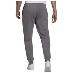 Adidas Брюки Ent22 Sw Pant Grey H57531 цена и информация | Мужская спортивная одежда | hansapost.ee