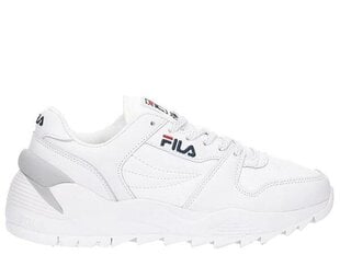 SPORTS FILA ORBIT CMR JOGGER L LOW 10106211FG цена и информация | Спортивная обувь, кроссовки для женщин | hansapost.ee