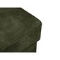 Tumba Lapis, 83x83x43 cm, roheline цена и информация | Kott-toolid, tumbad, järid | hansapost.ee
