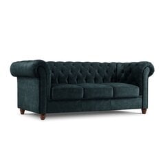 Трехместный диван Lapis, 224x90x80, синий цена и информация | Диваны | hansapost.ee