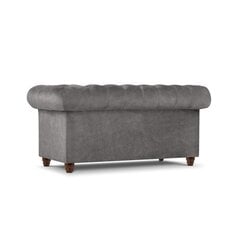 Двухместный диван Lapis, 170x90x80, серый цена и информация | Диваны | hansapost.ee